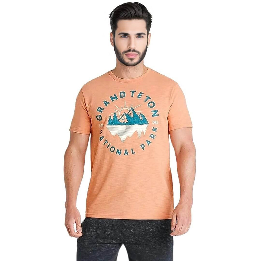 Lincoln Men's Grand Teton Mountains T-Shirt -Sweat Zone DZ